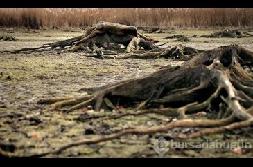 Fotoğraflardaki modelleri görebiliyor musunuz