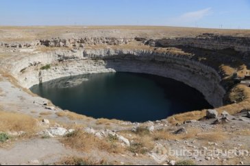 Korkutan görüntü: Sayıları artıyor!