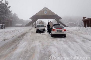 Lapa lapa kar Bursa 