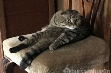 Günün en çok paylaşılan fotoğrafları