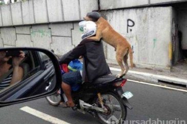 Günün en çok paylaşılan fotoğrafları