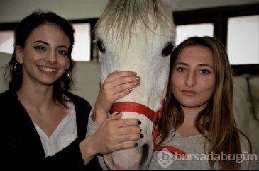 Bursa'da yaptıkları işlerle erkeklere taş çıkartıyorlar