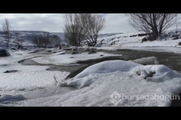 Ağrı'da şelale ve dere buz tuttu