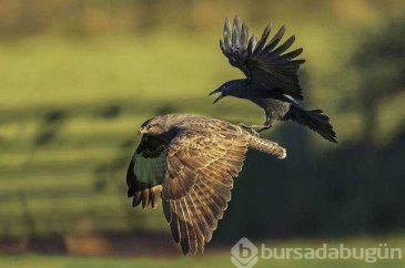 Günün en çok paylaşılan fotoğrafları