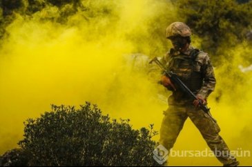 'Dağların aslanları' ansızın vuruyor