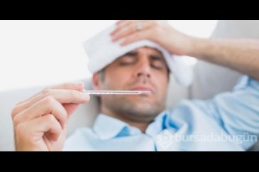 Gribe karşı 10 doğal savaşçı