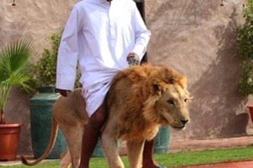 Dubai'den yok artık dedirten kareler