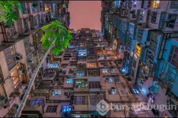 En iyi çevre fotoğrafçıları belli oldu