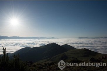 İnanılır gibi değil ama burası Türkiye
