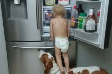 Bebek ve köpeklerin muhteşem dostluğu
