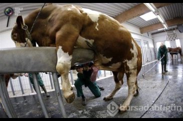 En enteresan meslekler