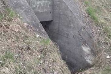 Ormandaki gizli kapının içinden bakın ne çıktı
