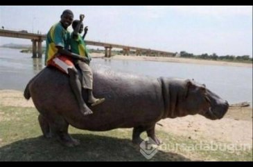 Afrika'dan ilginç kareler!