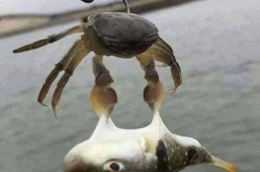 Günün en çok paylaşılan fotoğrafları