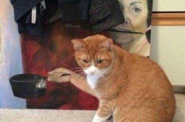 Günün en çok paylaşılan fotoğrafları