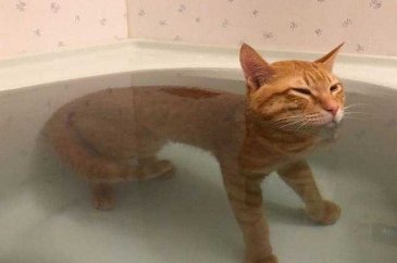 Günün en çok paylaşılan fotoğrafları