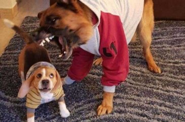 Sosyal medyada en çok paylaşılan fotoğraflar