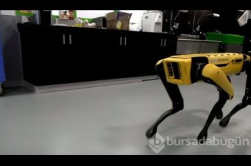 Birbirleriyle yardımlaşan robotlar!