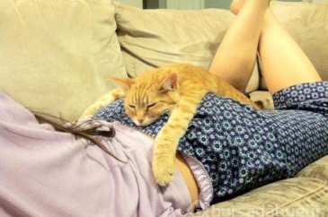 Günün en eğlenceli fotoğrafları