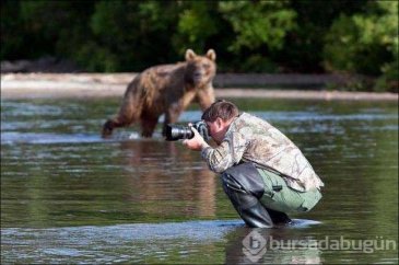 Vahşi doğa fotoğrafçısı olmak zordur!