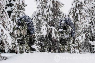 Kamuflaj ustası keskin nişancıları görebilecekmisiniz