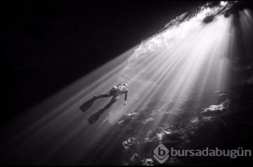 Zamanlama açısından en iyi çekilen fotoğraflar