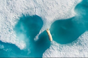 Dünyanın drone ile çekilmiş en iyi fotoğrafları