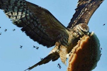 Günün en çok paylaşılan fotoğrafları
