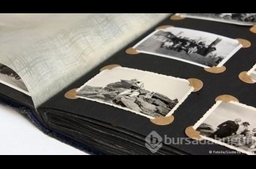İşte dünyanın en büyük soyağacı
