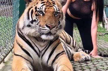 Türkiye'nin zengin çocukları

