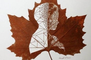 Sanat eserine dönüştürülen kuru yapraklar
