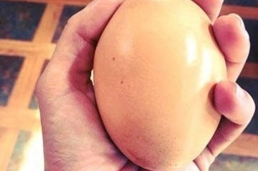 İçinden çıkanlar şok etti!