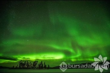 Lapland'ın büyüleyici kışı