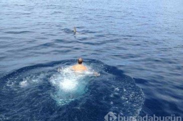Günün en çok paylaşılan fotoğrafları
