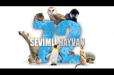 Dünya uyku gününe özel belgesel önerileri! 