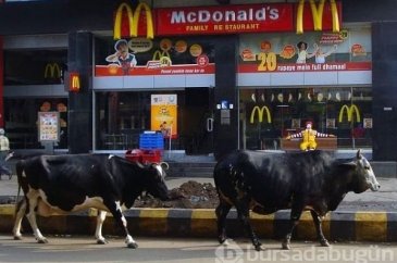 Bunları sadece Hindistan'da görebilirsiniz!
