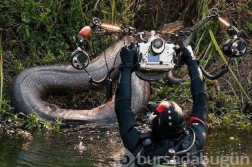 Dünyadan ilginç fotoğraflar görenlerin ağzını açık bırakıyor! 