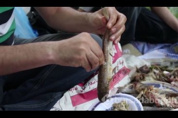 Bu yemek doğru hazırlanmazsa öldürüyor! 