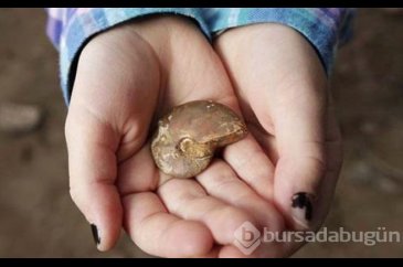 7 yaşındaki kız öyle birşey buldu ki...