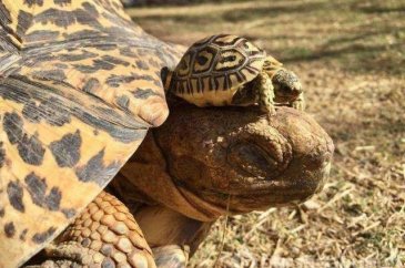 Günün en çok paylaşılan fotoğrafları