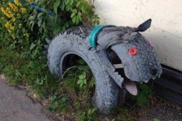 Rusya'dan dünyayı şaşırtan kareler