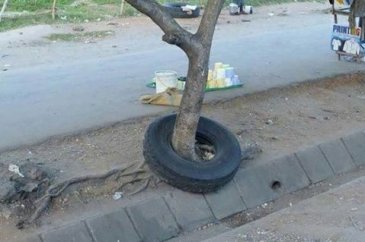 Günün en çok paylaşılan fotoğrafları
