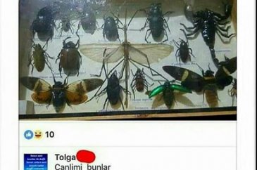 Bu mesajlar güldürüyor!