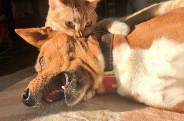 Günün en çok paylaşılan fotoğrafları