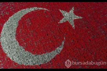 Türk Bayrağı temalı lale peyzajı dünya rekoru kırdı