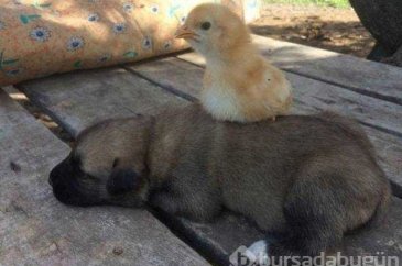 Günün en çok paylaşılan fotoğrafları