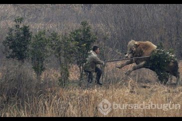 Hayvanları kızdırınca bakın neler oldu!