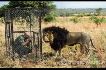 Günün en çok paylaşılan fotoğrafları
