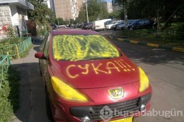 Hatalı park etmenin cezası çok ağır oldu