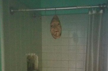 Dünyanın en korkutucu anları